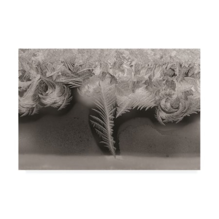 Kurt Shaffer Photographs 'Natures Art, Ice Crystals On My Window' Canvas Art,12x19